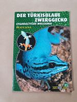 Buch Der türkisblaue Zwerggecko Lygodactylus williamsi Bayern - Schwaig Vorschau