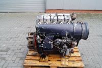 Deutz Motor F5L 912 für Deutz DX90, Deutz DX85,Radlader,Bagger Niedersachsen - Emsbüren Vorschau