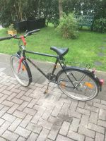 Mountainbike MTB 26“ Zoll defekt Rixe Fahrrad Bremen - Borgfeld Vorschau