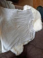 ❤️Sheego,Shirt,Streifen,Gr.44,Gr.46,Pulli, Saarland - Homburg Vorschau
