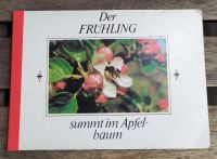 DDR Kinderbuch: Der Frühling summt im Apfelbaum Dresden - Neustadt Vorschau