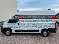 Transporter mit und ohne Anhängerkupplung zu vermieten Sachsen-Anhalt - Magdeburg Vorschau