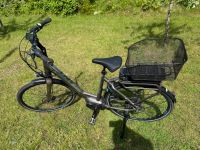 Giant Prime + Hybrid E-Bike Pedelec Größe L 55cm Kreis Ostholstein - Eutin Vorschau