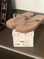 Esprit Flip Flop 42 Bayern - Augsburg Vorschau