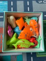 Angel Fische Fisch spiel Magnet spiel Nordrhein-Westfalen - Oerlinghausen Vorschau