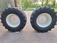 600/70 R30 Räder (Reifen+Felgen 20x30)New Holland,Steyr,FIAT,CASE Nordrhein-Westfalen - Gronau (Westfalen) Vorschau