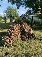 Trockenes Holz zum Verbrennen Hessen - Rosbach (v d Höhe) Vorschau