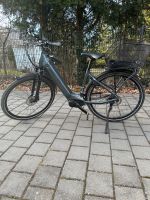 Giant DailyTour E+2 LDS E-Bike Bayern - Seefeld Vorschau