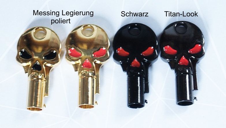 Tubularschlüssel nachmachen-z.B. Harley-Schlüssel kopieren in Neckartailfingen