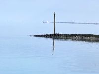 Nordsee Gulfhof mit großem Garten - 2 Ferienwohnungen Neu Neu Neu Niedersachsen - Dornum Vorschau