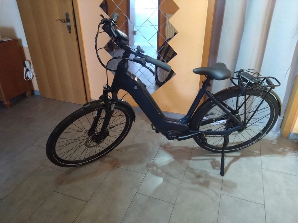 E-Bike Winora tria 8 2022 in Worms