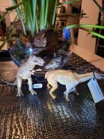 2 Schleich Dinosaurier Nordrhein-Westfalen - Kevelaer Vorschau