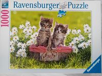 Puzzle Katzenmotiv 1000 Teile Ravensburger Baden-Württemberg - Lenzkirch Vorschau