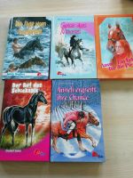 Ponyclub Bücher Bayern - Falkenstein Vorschau