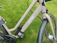 Gazelle Esprit Fahrrad Retro Bike Cityfahrrad taupe top Zustand Hessen - Biblis Vorschau