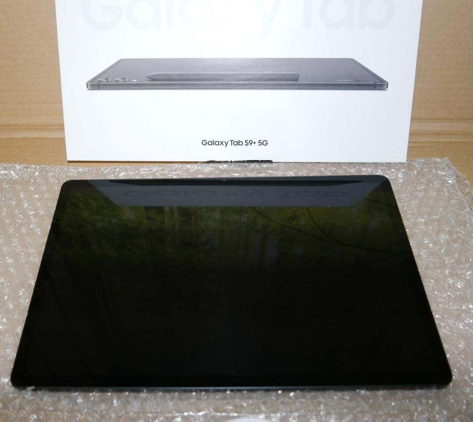 Samsung Galaxy Tab S9+ 5G 12.4" 256GB Graphite Tablet *Wie neu* in Porta Westfalica
