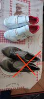 Damenschuhe von  Lacoste. Die Mustang Schuhe sind schon verkauft. Rostock - Reutershagen Vorschau