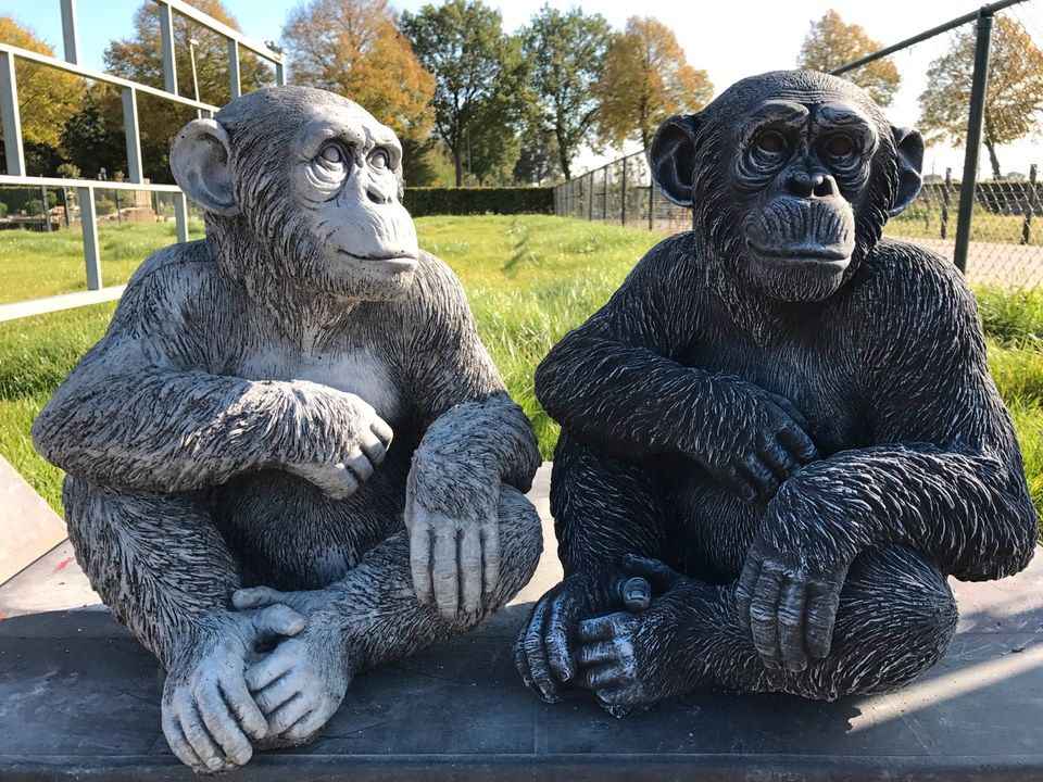 ‼️Schimpanse 52cm Chita Bonobo Steinguss Affe Affen Menschenaffe in Mönchengladbach