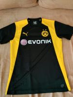 BVB Borussia Dortmund Trainingsshirt Gr M Puma Aufwärmshirt Hessen - Heuchelheim Vorschau