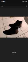 Stiefeletten schwarz Bayern - Burgkunstadt Vorschau