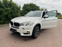 BMW X5 xDrive30d TOP Zustand Panoramadach Mecklenburg-Strelitz - Landkreis - Neustrelitz Vorschau