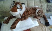 großer Bengalischer Stoff - Tiger Bayern - Nersingen Vorschau