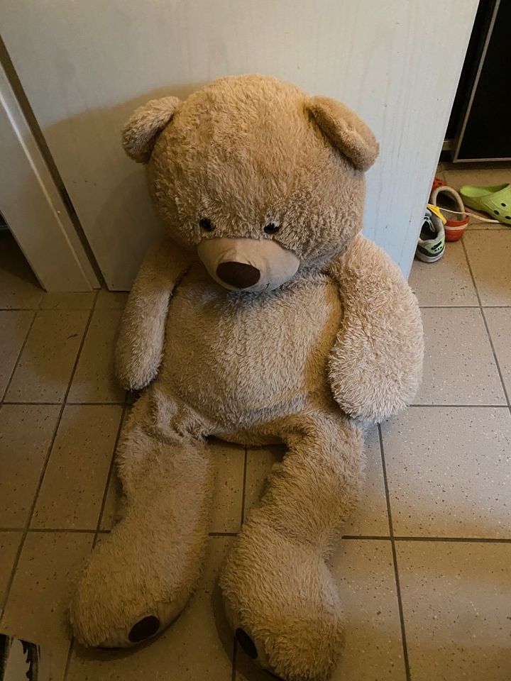 Teddybär XL in Kottenheim