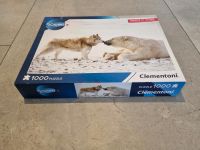 Puzzle Eisbär Husky 1000 Teile Kr. Altötting - Burghausen Vorschau