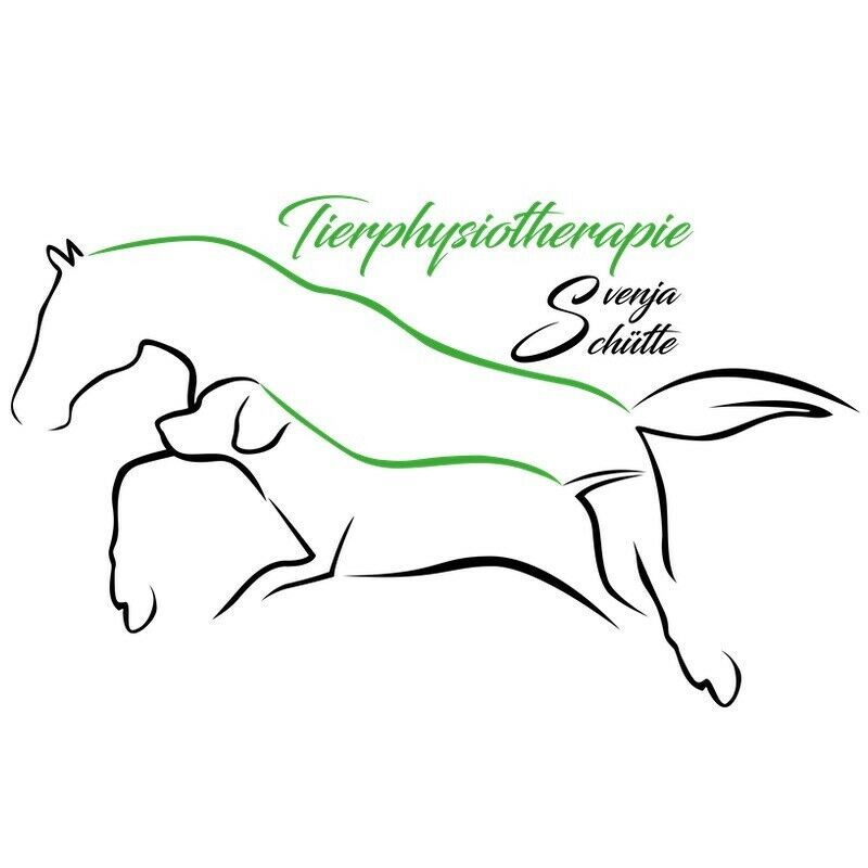 Tierphysiotherapie & Tierosteopathie für Hunde, Katzen und Pferde in Dortmund