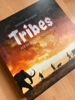 Brettspiel Tribes Schleswig-Holstein - Lübeck Vorschau