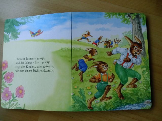 Lustige Hasenschule Bildergeschichten für Kinder HONOS Pappbuch in Düsseldorf