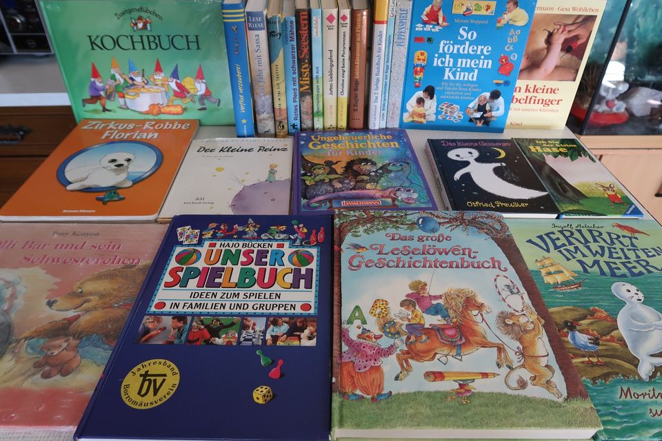 Kinderbuch Der kleine Prinz, Zwergenstübchen Ritterburg, Bastelbu in Waldbreitbach