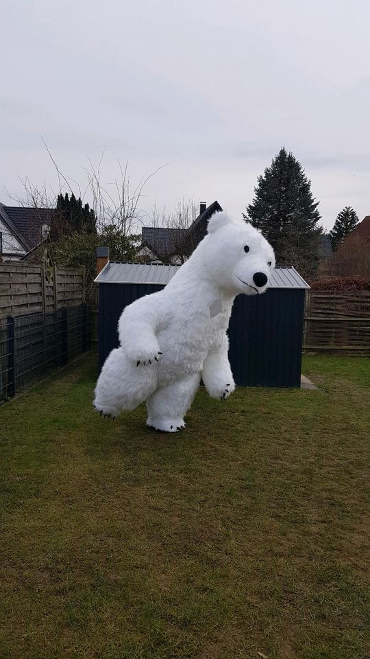 Aufblasbares Kostüm Eisbär  Affe Party, Geburtstag. Mieten/Leihen in Bielefeld