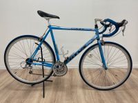 Batavus e‘light Rennrad Fahrrad Hollandrad Herrenfahrrad 28 Zoll Nordrhein-Westfalen - Mönchengladbach Vorschau