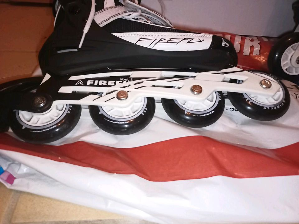 Inliner / Inline Skates Firefly Größe 39 in Freyburg (Unstrut)