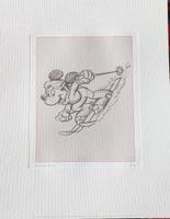 Downhill Mickey Mouse Graphik Rheinland-Pfalz - Friedelsheim Vorschau