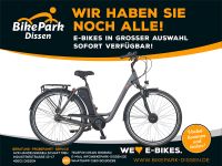 Prophete Elektro-Fahrrad 28" AEG 36Volt 461Wh 12,8 Ah 7-Gang Nabe Niedersachsen - Dissen am Teutoburger Wald Vorschau