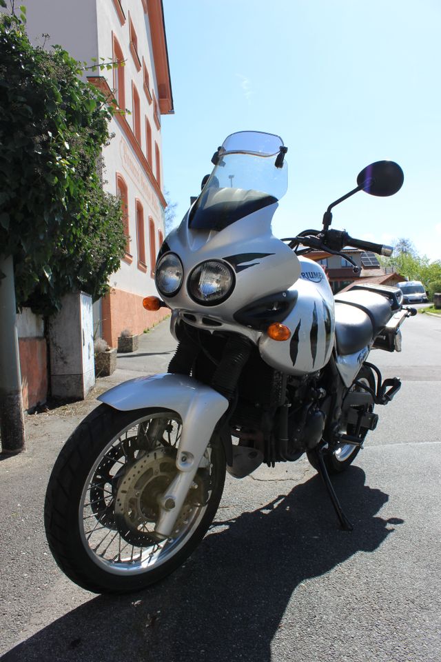 Triumph Tiger 955i in Stegaurach