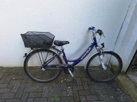 Fahrrad Pegasus 26 Zoll Nordrhein-Westfalen - Weilerswist Vorschau