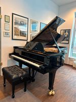 Steinway Konzertflügel D-274 generalüberholt vom Hersteller Berlin - Schöneberg Vorschau