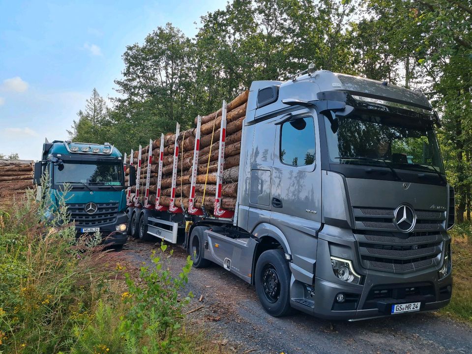 Esche Brennholz Stammholz inkl Lieferung und MwSt in Wernigerode