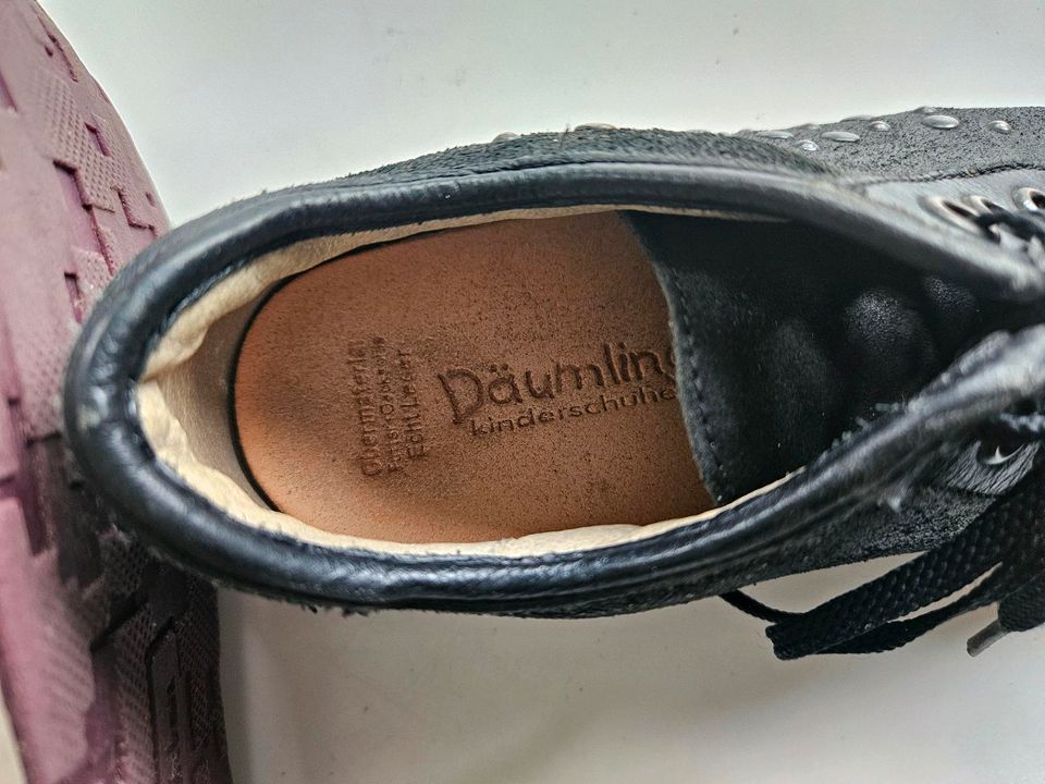 Däumling Leder Schnührschuh in Schildow