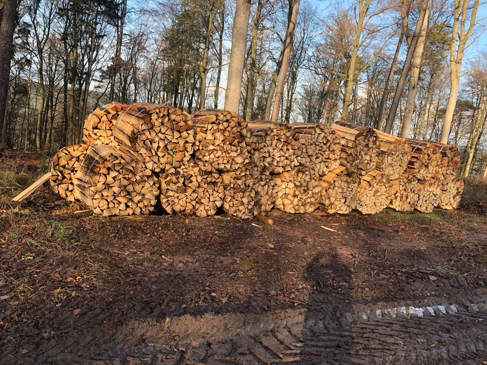 Brennholz Fichte Kiefer Meterholz in Eschau