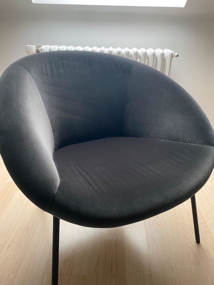 Originaler Walter Knoll 369-10 Samt Sessel in Düsseldorf