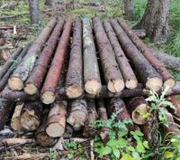 Zaunpfosten Zaunpfähle Koppelstangen Fichte Rheinland-Pfalz - Hillesheim (Eifel) Vorschau