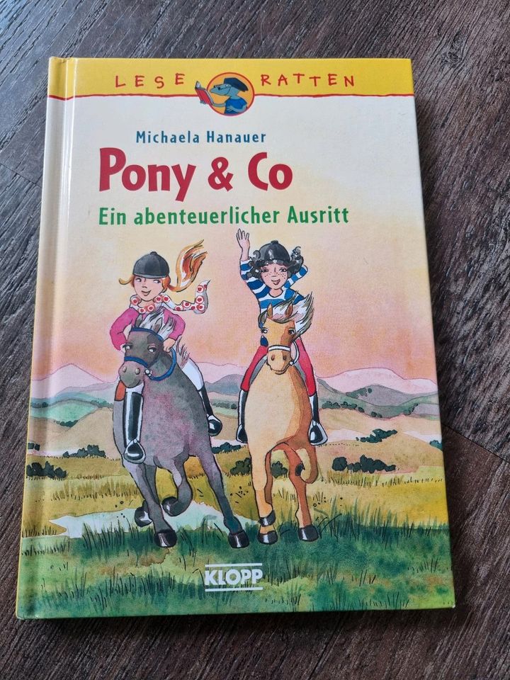 Lese Ratten Buch Pony & Co. Ein abenteuerlicher Ausritt ab 8 in Rastede