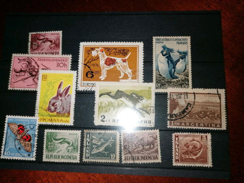 Briefmarken Tiere gestempelt in Anklam