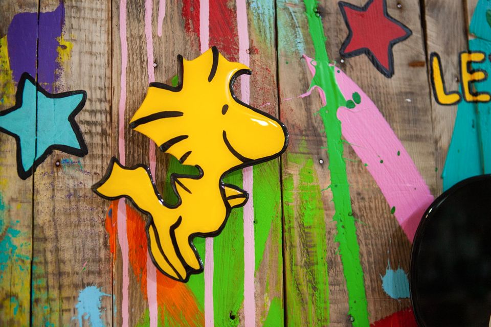 Gemälde, Street Art, Pop Art, Bilder, Picture, Snoopy, Unikat in Köln