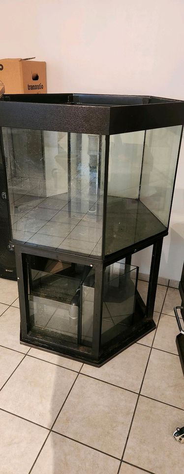 Meerwasser Aquarium 6 Eck 370L in Maitenbeth