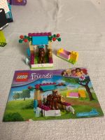 LEGO FRIENDS: Fohlen-Pflegestall + Welpen Training Bayern - Hindelang Vorschau